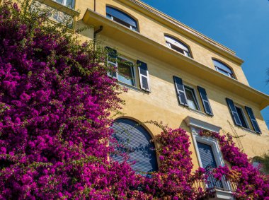 Monterosso al Mare'deki güzel ev, Cinque Terre, Kuzey İtalya