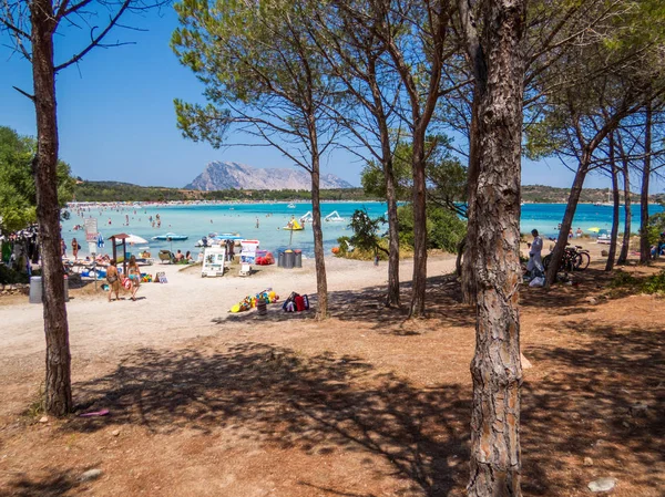 Cala Brandinichi, provincia de Olbia, Cerdeña, Italia . — Foto de Stock