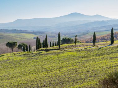 Vitaleta Şapeli, Val d'Orcia, Toskana, İtalya 