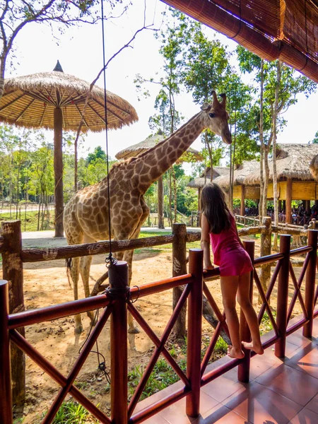 Parco zoo Vinpearl Safari, Phu Quoc, Vietnam — Foto Stock