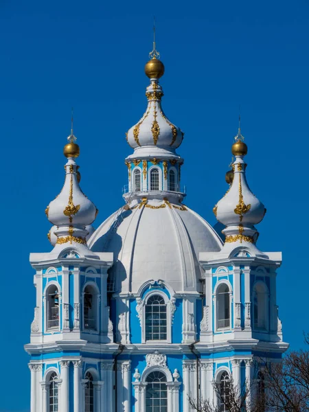 Ο Καθεδρικός Ναός Smolny, Αγία Πετρούπολη, Ρωσία — Φωτογραφία Αρχείου