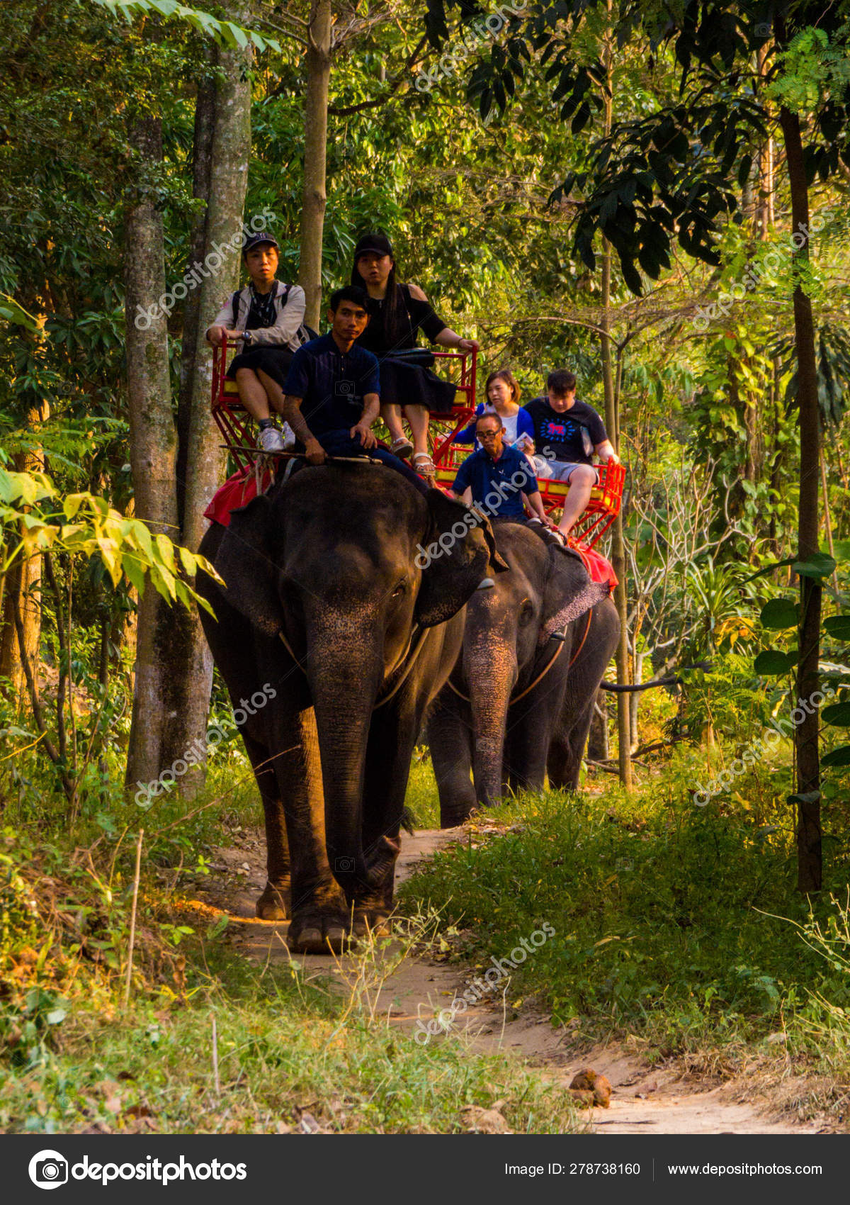 Download 6400 Gambar Flora Dan Fauna Di Thailand  Gratis HD