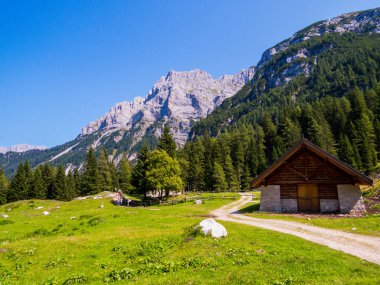 Malga Valagola orman yolu, Sant'Antonio di Mavignola, Dolomites, İtalya 