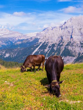 Dolomites, İtalya 