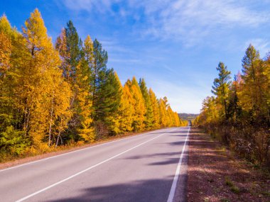 Baykal Gölü yakınlarındaki Irkutsk bölgesinde Sonbahar, Sibirya, Rusya 