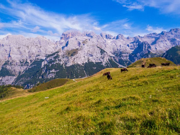 Доломітові Альпи, Італія — стокове фото