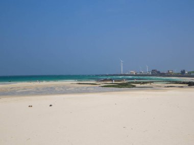 Jeju Adası, Güney Kore 'deki Woljeong Sahili manzarası