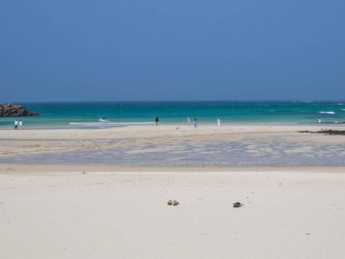 Jeju Adası, Güney Kore 'deki Woljeong Sahili manzarası