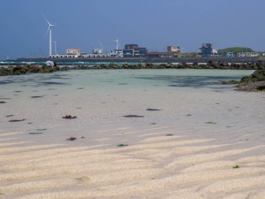 Jeju Adası, Güney Kore 'deki Woljeong Sahili manzarası