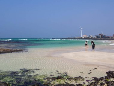 Jeju Adası, Güney Kore 'deki Woljeong Sahili manzarası