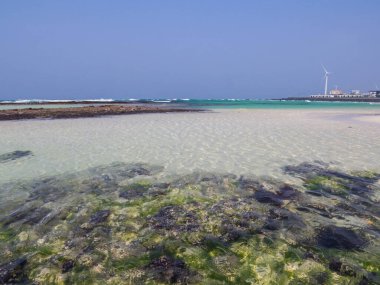 Jeju Adası, Güney Kore 'deki Woljeong Sahili manzarası