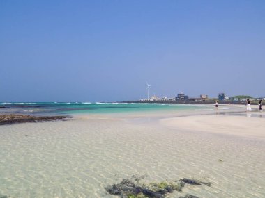 Jeju Adası, Güney Kore 'deki Woljeong Sahili manzarası