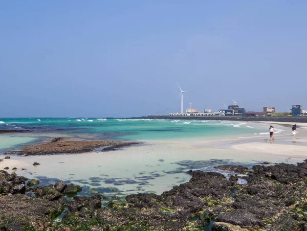 Jeju Adası, Güney Kore 'deki Woljeong Sahili manzarası