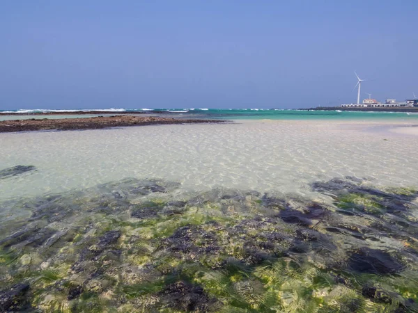 Jeju Adası, Güney Kore 'deki Woljeong Sahili manzarası