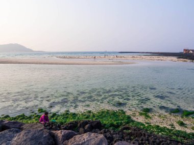 Jeju Adası, Güney Kore - 7 Mayıs 2025: Hyeopiae Sahili 'nde yosun toplayan kadın.