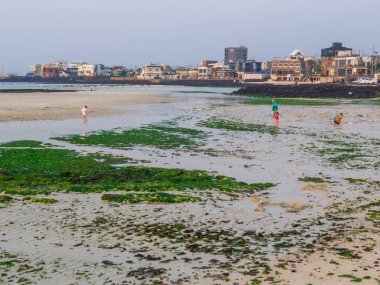 Jeju Adası, Güney Kore - 7 Mayıs 2025 Hyeopiae Sahili 'nde insanlar gün batımında.