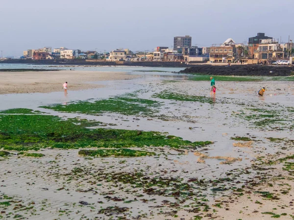 Jeju Adası, Güney Kore - 7 Mayıs 2025 Hyeopiae Sahili 'nde insanlar gün batımında.