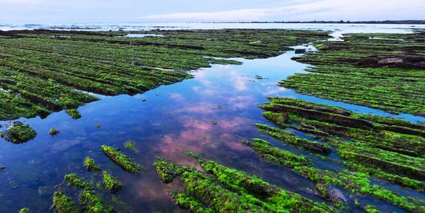 Flysch Wybrzeża Baskijskiego Zachodzie Słońca Sakoneta Zumaia — Zdjęcie stockowe