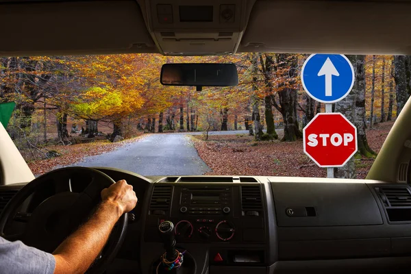 Driving a car on the road with traffic signals, the road is lost in the forest in autumn.