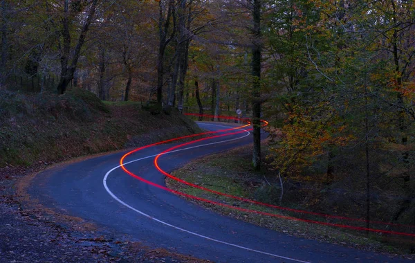 Автомобильные Огни Ночь Пересечения Лесу Осенью Природный Парк Айако Харриак — стоковое фото