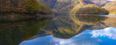 Sonbahar ormanda Endara depo, Navarra yansıtılır