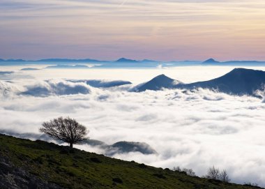 Kayın doğal Park, Aralar Navarre arka planda bulutlar deniz içinde
