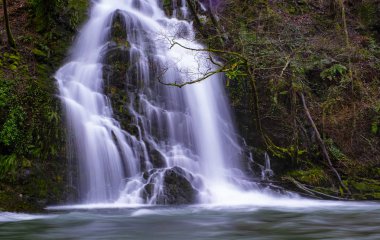 Urumea Nehri, çevre Goizueta, Navarra üzerinde şelale