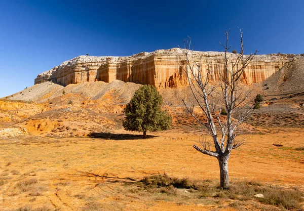 Rambla Barrachina Lugar Desierto Pizarras Rojas Teruel España —  Fotos de Stock