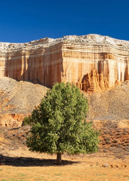 Rambla Barrachina Lugar Desierto Pizarras Rojas Teruel España —  Fotos de Stock