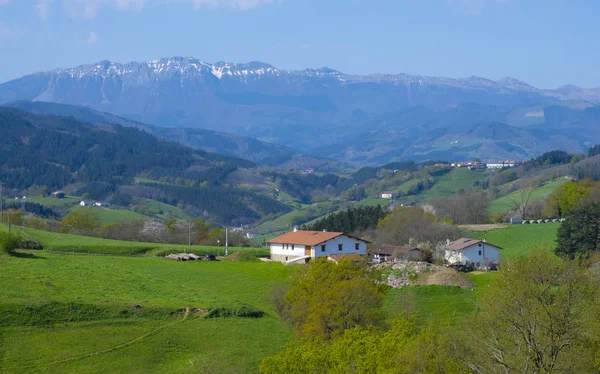 Landschap Uitzicht Groene Weiden Bergen Een Kleine Boerderij Baskenland Spanje — Stockfoto