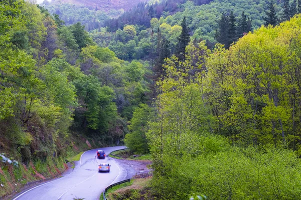 Car Lights Road Driving Speed Trees Green Forests Navarra Spain — Stock Photo, Image