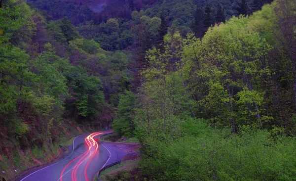Luces Coche Carretera Conduciendo Velocidad Entre Árboles Bosques Verdes Navarra — Foto de Stock