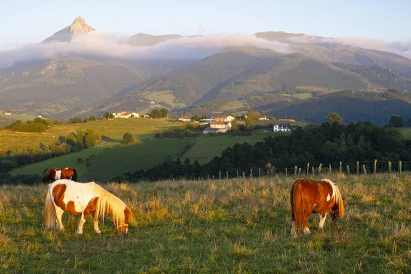 Caballo Pastando Prados Lazkaomendi Con Sierra Aralar Monte Txindoki Fondo — Foto de Stock