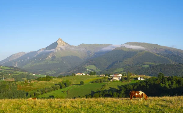 Paard Grazen Weilanden Van Lazkaomendi Met Sierra Aralar Mount Txindoki — Stockfoto