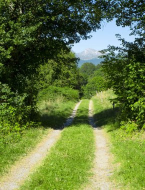Ormana ve dağlara giden yol, Fransa Pireneleri
