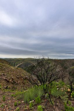 Bir mesafe Bridge'de bakan sarp dağ kayalığın üzerinde duran