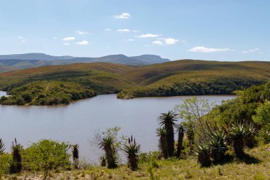 Çalılar ön planda ve arka planda dağlar ile Barajı