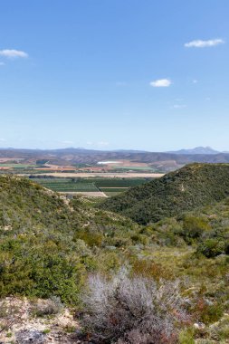 Dağlar ve alanında arka bahçesinde