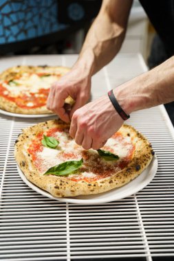 Bir şefin elleri nazikçe taze fesleğen yapraklarını domates soslu ve rendelenmiş peynirli Napoli usulü bir pizzanın üzerine yerleştirir.
