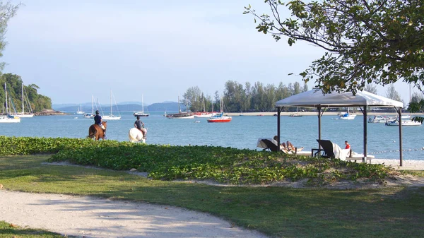 Pulau Langkawi, Malezya - 4th Nisan 2015: güzel beyaz kum plaj, Langkawi palmiye ağacı ve şezlong — Stok fotoğraf