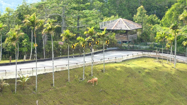 Kedah, langkawi, malaysien - 09. Apr 2015: blick vom gipfel des gunung raya berges — Stockfoto