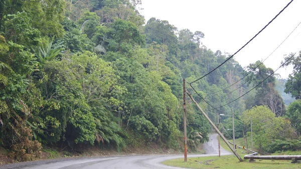 Kedah, Langkawi, Malezya-Nisan 09th, 2015: boş bir cadde ile muhteşem orman manzara