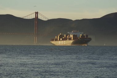 San Francisco, California, Amerika Birleşik Devletleri - 25 Kasım 2018: Msc Cargo Ship Silvia, Oakland Limanı'na giderken Golden Gate Köprüsü'nün altından San Francisco Körfezi'ne giriyor - tamamen dolu