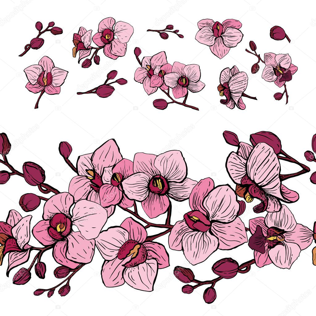 Vector elements set of orchid (petals, leaves, bud and an open flower)