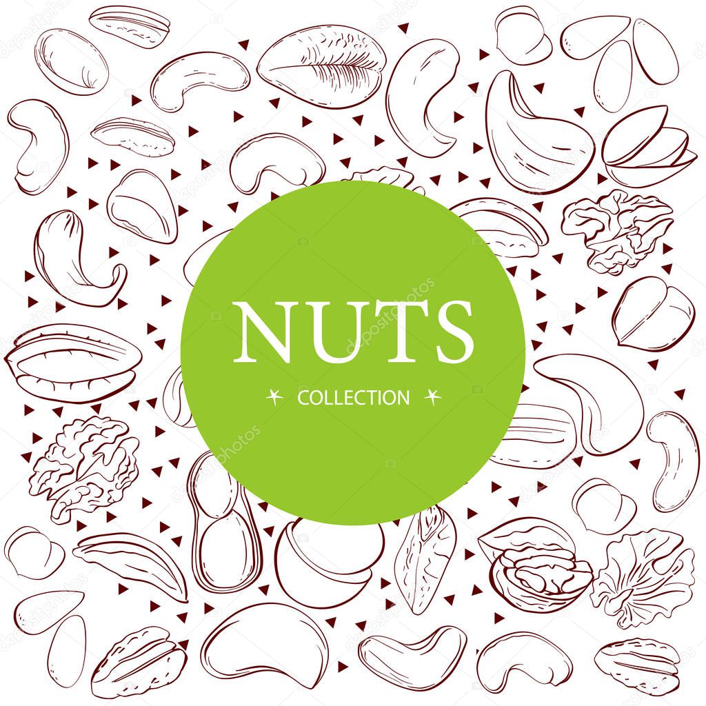 Nuts collection drawings. Sketches. Hand-drawing. Vector illustration. Elements for design.