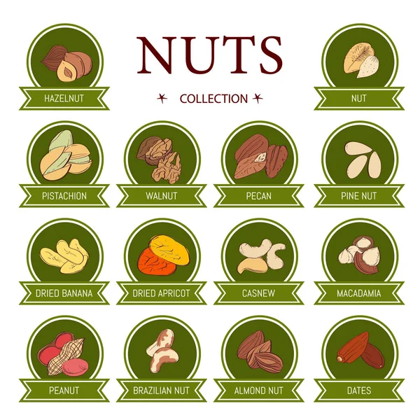 Set of AD-cards (banners, tags, package) with hand DRAW nuts - hazelnut, almond, pistachio, pecan, cashew, brazil nut, walnut, peanut, pine nuts. — Stock Vector