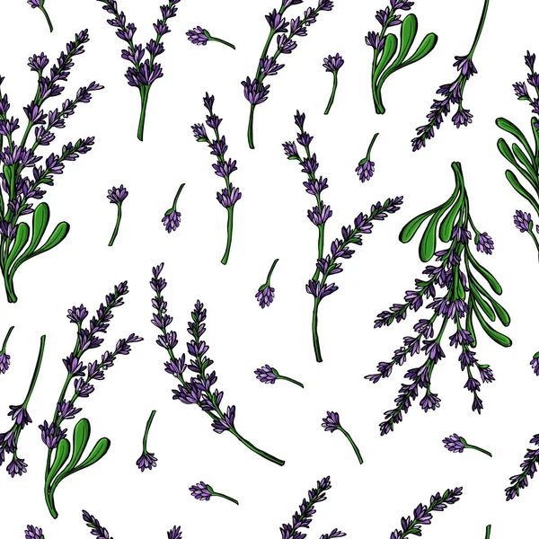 Botaniska vektor sömlösa mönster bakgrund med lavendel blommor och grenar. Perfekt för tapeter, webbsida bakgrunder, ytstrukturer, textil. — Stock vektor