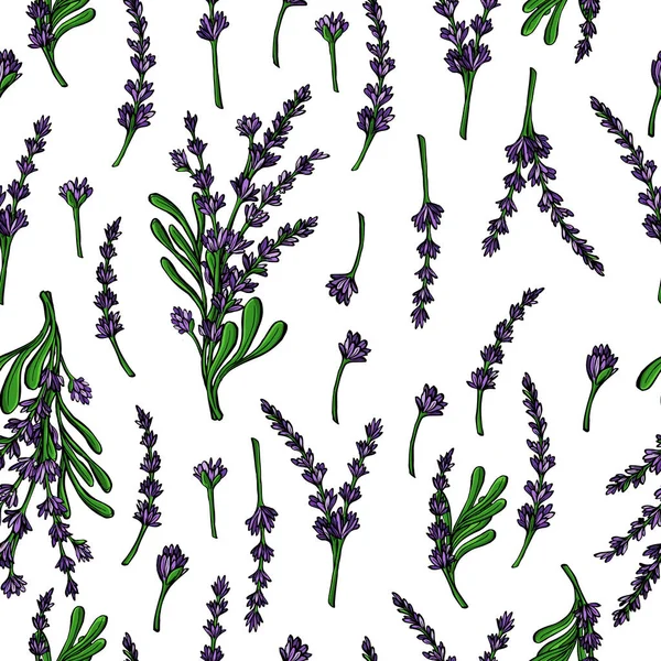 Botanische Vektor nahtlosen Musterhintergrund mit Lavendelblüten und Zweigen. perfekt für Tapeten, Webseiten-Hintergründe, Oberflächentexturen, Textilien. — Stockvektor