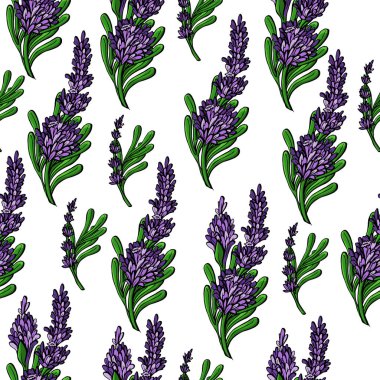 Lavanta çiçekleri ve dalları ile Botanik vektör dikişsiz desen arka plan. Duvar kağıtları, web sayfası arka planlar, yüzey dokuları, tekstil için mükemmel.