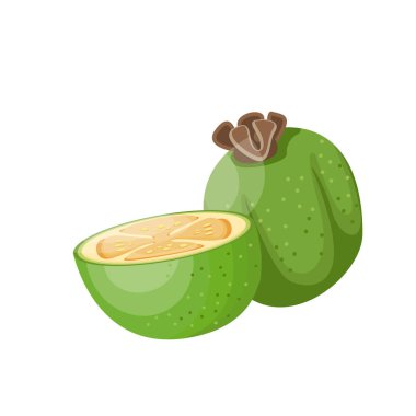 Olgun feijoa. Tropikal meyveler. Vejetaryen beslenme. Organik gıda. Ayrıntılı vektör çizimi.